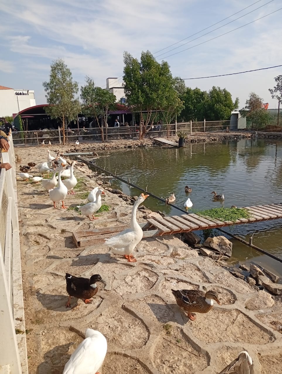 جامعة الكوت تحظى بمرافق علمية وأخرى ترفيهية.